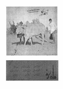 Shumara Number-002