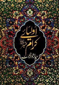 سیارہ ڈائجسٹ